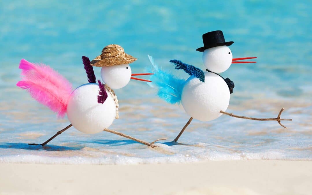 Florida Snowbirds: The 2025 RMD & State-Tax Strategy Checklist