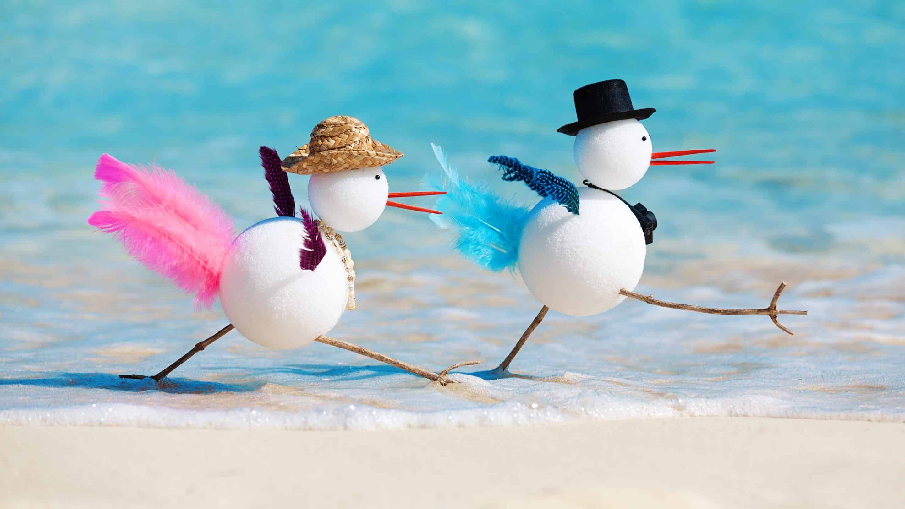 Florida Snowbirds: The 2025 RMD & State-Tax Strategy Checklist