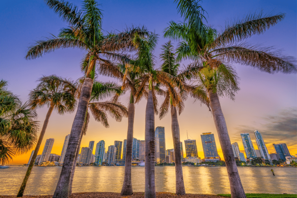 How Weather and Natural Disasters Impact Your Financial Plan in Florida